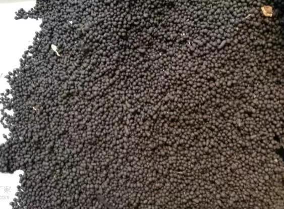 Humic Acid Organic Fertilizer Granules.jpg