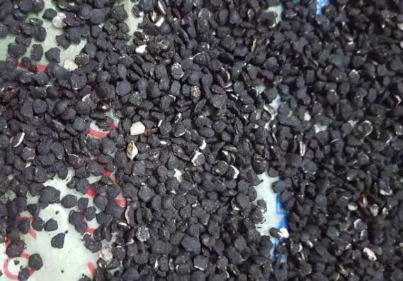 Compound Fertilizer Extruded Granules.jpg