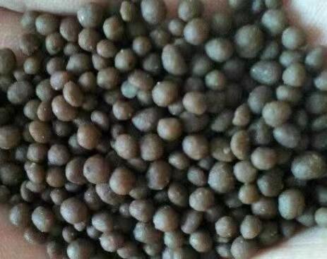 Sludge Organic Fertilizer Granules.jpg