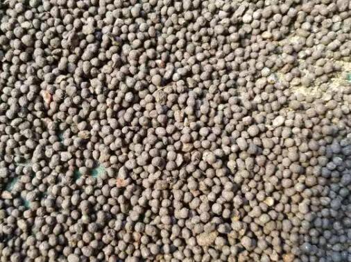 Sheep Manure Organic Fertilizer Granules.jpg